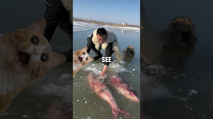 This poor Man found rare Frozen fish and became Rich #shortvideo