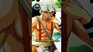 Tại sao Usopp lại có chiếc mũi dài? | One Piece