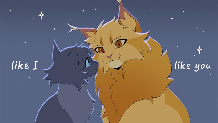 Like I like you - Lionblaze & Cinderheart PMV