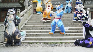 【Fursuitdance】Dự án đặc biệt mừng kỷ niệm một năm thành lập Hongmeng Creation! ! ! ! ! ! !
