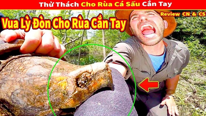 Vua lỳ Đòn Thử Thách Cho Rùa Cá Sấu Cắn Vào Tay Và Cái Kết | Review Con Người Và Cuộc Sống