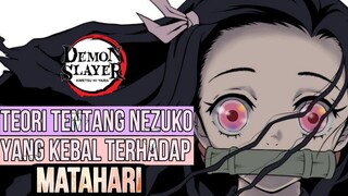 APAKAH SUATU SAAT NEZUKO JADI MANUSIA? | TEORI NEZUKO YANG KEBAL TERHADAP MATAHARI (Demon slayer)