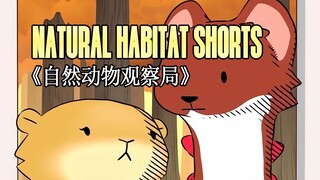 230217《自然动物观察局》- Natural Habitat Shorts