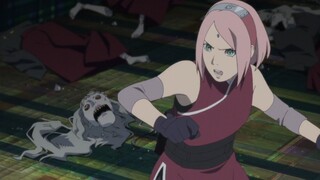 Sakura power