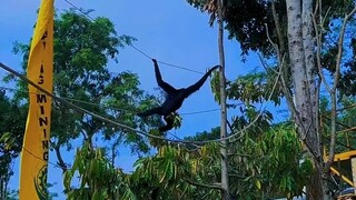 Jurus meringakan tubuh