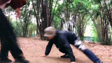 [กีฬา]ชกมวยลิง|'ผู้ชายควรยืนหยัด'