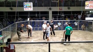 @ pateros coliseum 2hits ulutan 2nd fight win