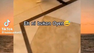 🐱:aku juga bisa meskipun bukan oren