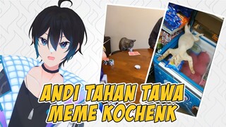 Ayo Test Kelemahan Humor Gue - TAHAN TAWA MEME KUCING