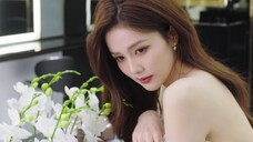 【White Deer】20230303 HourglassCosmetics อัพเดทเกี่ยวกับกวางขาว