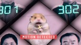 Hamster Squid Game - Squid Game Netflix Dog And Cat