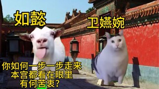 卫嬿婉的前半生但猫meme