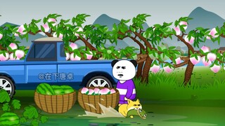[College students return to the village to start a business] Peaches are grown in the village, and o