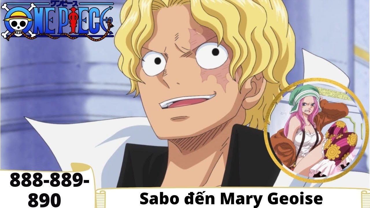 One Piece Tập 8 8 0 Sabo đến Mary Geoise đảo Hải Tặc Tom Tắt Anime Bilibili