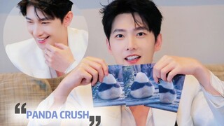 Yang Yang plays Panda Crush🐼🔛 Cute 6 pandas online!! #杨洋