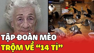 Cụ bà 85 TUỔI huấn luyện 65 chú Mèo đi TRỘM TRANG SỨC hơn 14 Tỉ 🤯🤯 | Yêu Lu