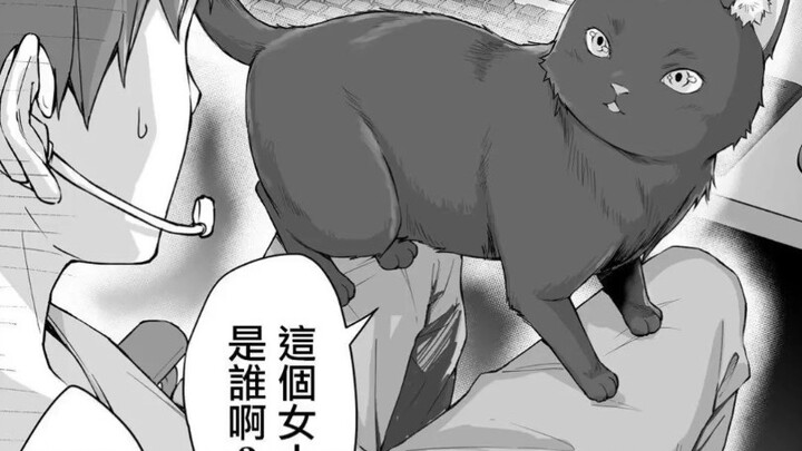 (Bổ sung) Phiên bản cũ/được cải tiến của Yandere Cat (khuyến nghị này 011)