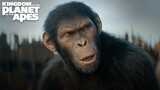 Kingdom of the Planet of the Apes I Memorial Day
