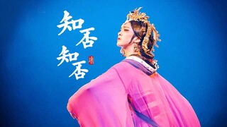 【唐诗逸|知否知否·舞】踩点混剪 || 试问卷帘人却道海棠依旧
