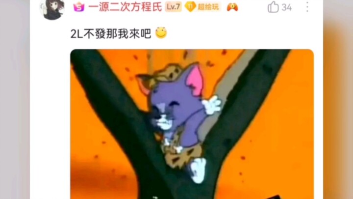 挑战猫鼠队是愚蠢的（9）