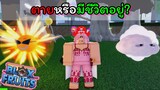 อายุขัยของแก..!!! ฉันขอเอาไปละนะ [Blox Fruits]