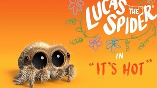 【Laba-Laba Kecil Lucas】Panas sekali! ||. Lucas si Laba-Laba 【Transportasi Kacang Pinto】