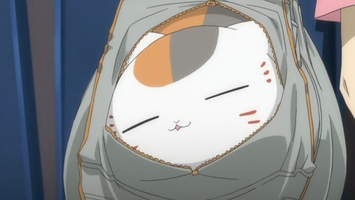 Natsume: This ugly cat belongs to my family...