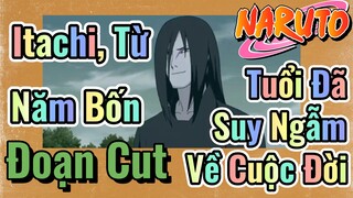 [Naruto] Đoạn Cut | Itachi, Từ Năm Bốn Tuổi Đã Suy Ngẫm Về Cuộc Đời