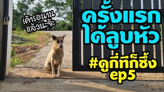 ครั้งแรกได้ลูบหัวนาง สุดซึ้งความรักของคนกับหมา หมาจร นางมาขอข้าวกิน ดูกี่ทีก็ซึ้ง ep.5
