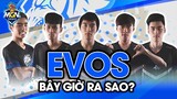 EVOS - Đội Hình Bá Chủ VCS Một Thời GIỜ RA SAO | MGN eSports