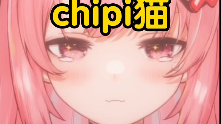 Chipi cat brainwashing loop! Forget your worries once a day