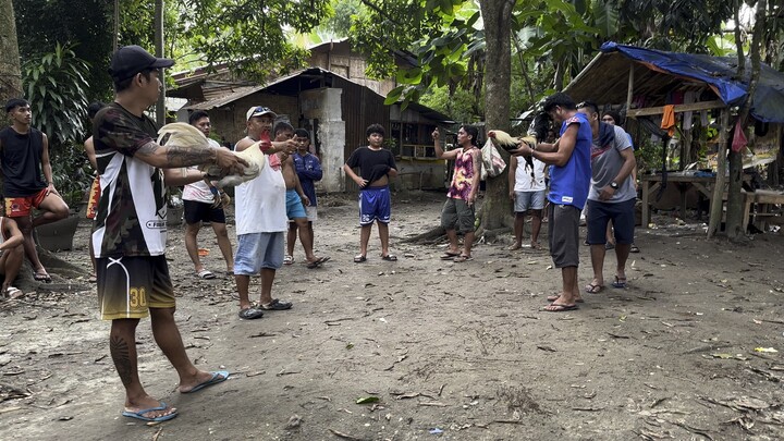 Biboy lines 3rd fight 3x winner na