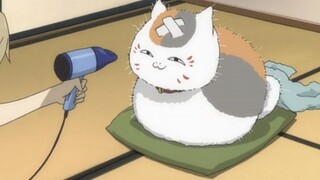 33: "ฉันไม่รู้ว่าขนฤดูหนาวคืออะไร ฉันไม่รู้จริงๆ!" [Cat Too Fat Series]