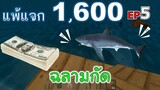 ฉลามกัด Shark Attack EP5 โหมด Cruel แพ้แจก 1600 -Survivalcraft [พี่อู๊ด JUB TV]