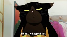 Chú mèo thông minh hôm nay lại u sầu EP 12 [Sub Việt]