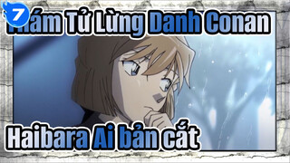 [Thám Tử Lừng Danh Conan] Haibara Ai 2013-2019 bản cắt không phụ đề_B7