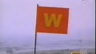 Letter W on the Beach