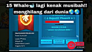 live 15 whale menghilang? types mungkin