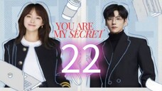 You Are My Secret ep 22 (sub indo)