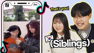 Korean Siblings React to Tik Toks that 'Only Siblings Will Understand'!!!