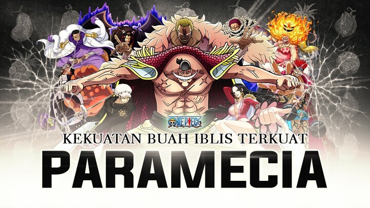 10 Buah Iblis Tipe Paramecia Terkuat di One Piece