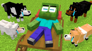 Monster School Baby Zombie และ Poor DOG Friendship - Sad Story - Minecraft Animation