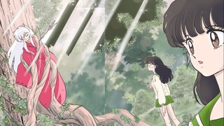 [InuYasha & Kagome Nigiri] Gặp được em chính là cái gọi là "phép màu"