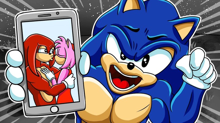 Sonic & Amy Just Loved - Why Do You Like This? - Sonic the Hedgehog Animation | Crew Paz