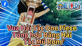 Vua hải tặc One Piece| Băng Hải Tặc Mũ Rơm: Cuộc sống trên hạm đội (Tập 17)_1