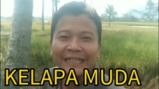 NGAMBIL KELAPA MUDA