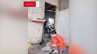 Cách triệu hồi một con sư tử 🥲 #videohaynhat