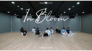 ZEROBASEONE The 1st Mini Album[𝐘𝐎𝐔𝐓𝐇 𝐈𝐍 𝐓𝐇𝐄 𝐒𝐇𝐀𝐃𝐄]'In Bloom' Dance Practice (Fix ver.