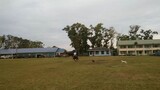 horse riding at our campus