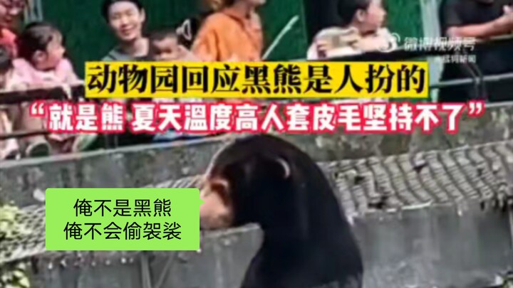 这压根就不是黑熊！杭州动物园回应黑熊是人扮的